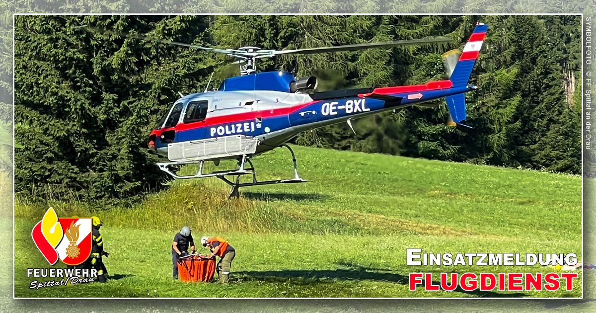Einsatzmeldung Flugdienst mit WBUE